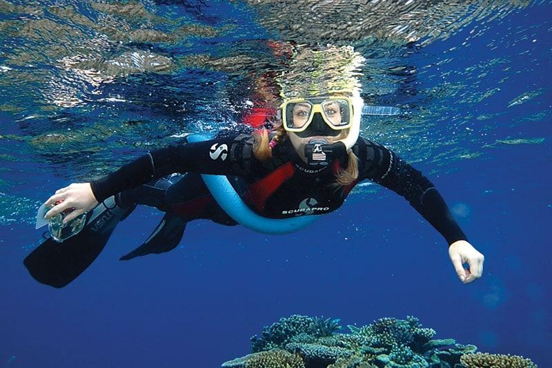 Hidden Killers of North Queensland